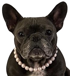 Dog Necklace (Small (15"), Solid, Pink