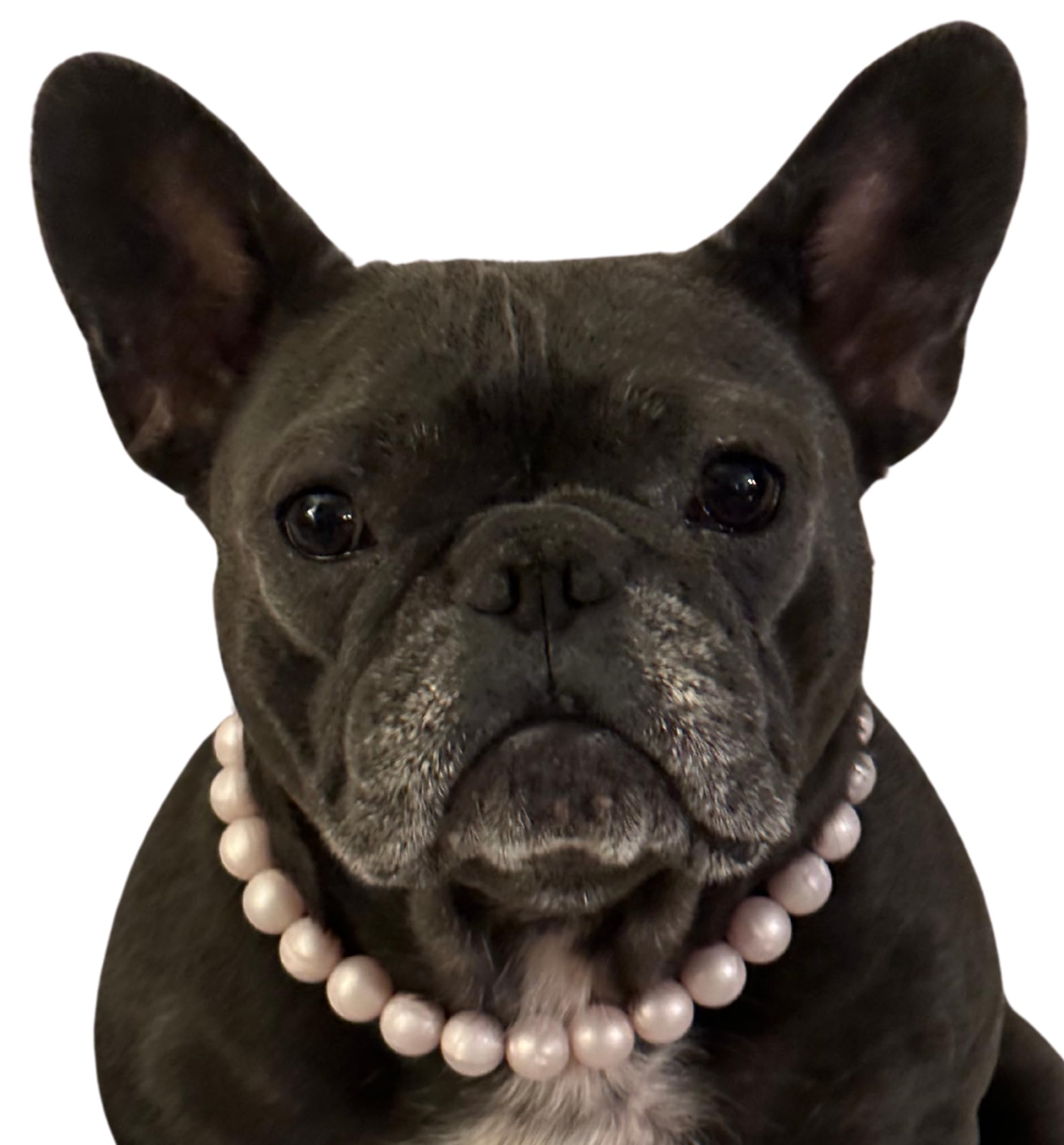 Dog Necklace (Small (15"), Solid, Pink