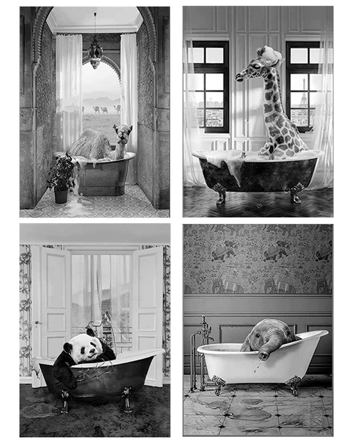 QPLGTU Bathroom Home Background Wall Decoration Poster, Black and White Highland Livestock Animal Decoration Photos Wallpaper, Funny Animal Print Poster, Frameless (Bathroom Animal 2, 50 x 70 cm x 4)
