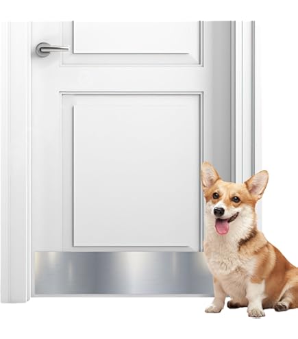 Plaque De Protection Intérieure HBM Pour C... | HBM Machines