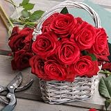 Mocoosy 12Pcs Red Artificial Rose Flowers Realistic Silk Long Stem view 3