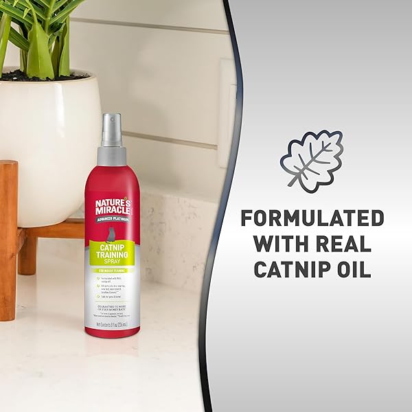 NATURE’S MIRACLE ADVANCED CATNIP TRAINING SPRAY WITH REAL CATNIP OIL ATTRACTS CATS AND ENCOURAGES POSITIVE BEHAVIOR, 8 OUNCES