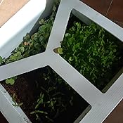 Huerto Urbano - Seed Box Ensaladas - Batlle: Amazon.es: Jardín