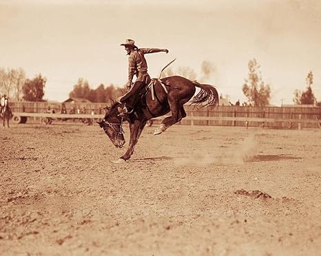 Amazon 8 X 10フォトold Westロデオカウボーイhoward Tegland 1910年 アートフレーム ポスター オンライン通販 Amazon 8 X 10フォトold Westロデオカウボーイhoward Tegland 1910年 アートフレーム ポスター オンライン通販