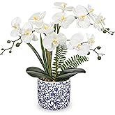 Briful White Orchid Artificial Flowers with Blue and White Pot, 16.9" Silk Orchid Fake Plant Faux Orchids for Home Office Shelf Room Table Centerpiece Decor