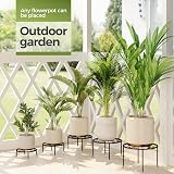 Bamworld 5-Pack Metal Plant Stands Indoor Outdoor Heavy Duty Anti-Rust Iron view 8