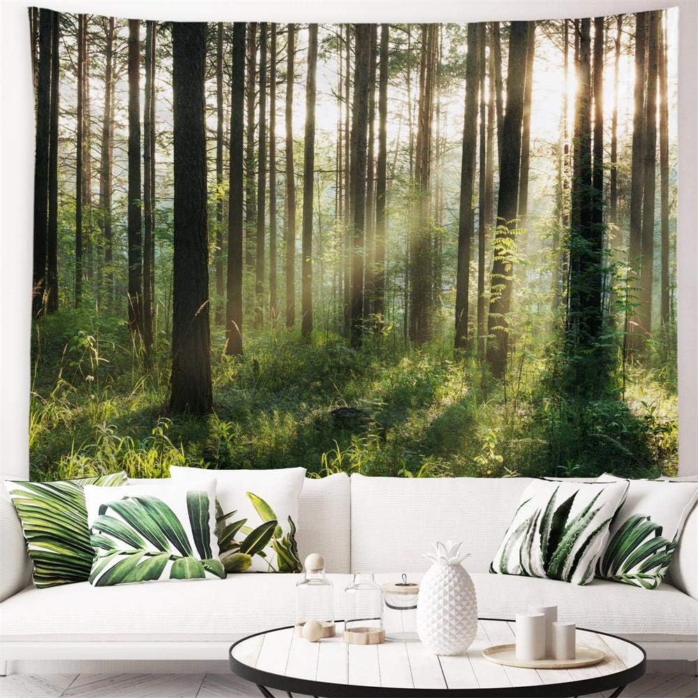 Tapestries - PROCIDA Forest Tree Tapestry Nature Landscape Tapestry Sunshine Through Tree Tapestries Wall Hanging Green Fresh Woodland Scenery for Bedroom Ceiling Aesthetic Decoration, 90 W x 60 H inch, Sunlight Forest