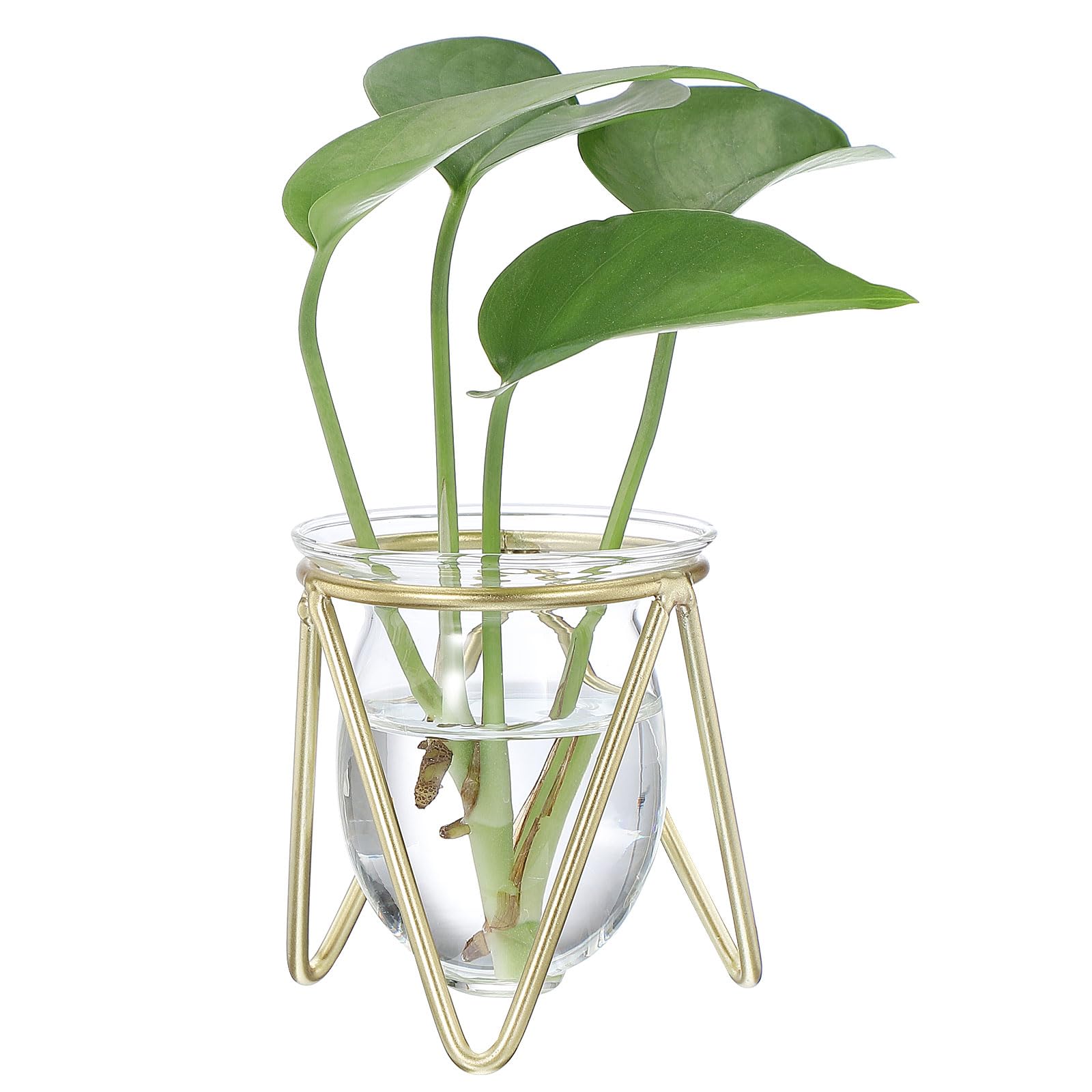 PATIKIL Glass Plant Terrarium with Metal Stand, Desktop Air Plant Bulb Vase for Propagation Hydroponics Home Garden Office Decoration, Transparent/Gold