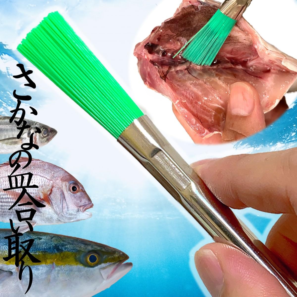 ReTORUE ささら 魚 血合い取り 強いコシ 洗いやすい 23cm ブラシ 血合い ササラ 簓 キッチンブラシ商品画像