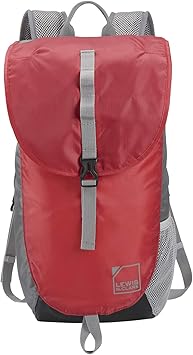 lewis backpack