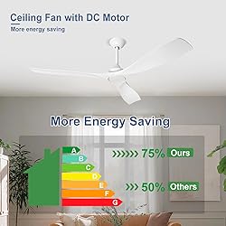 BvenuBigLite White Ceiling Fan with Remote: 3