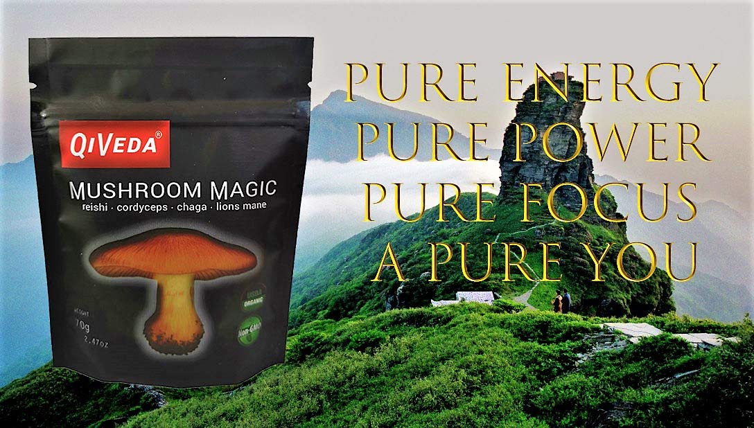 QiVeda Mushroom Magic (Lions Mane Reishi Cordyceps Chaga) 10x Dual