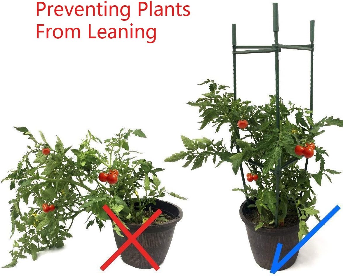 F.O.T Juego de 3 estacas Resistentes para Plantas de Jardín, con ...