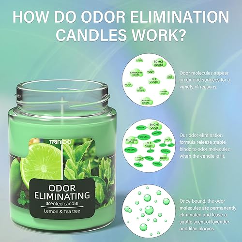 Lemon & Tea Tree Odor Eliminating Candles for Home Scented 