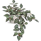 GnFlus Fake Hanging Plants, 20 Inch Artificial Ivy Plant in Ceramic Pot Faux Vine Potted for Home Bedroom Office Table Shef Indoor Outdoor Decor Desk (Green/Red)