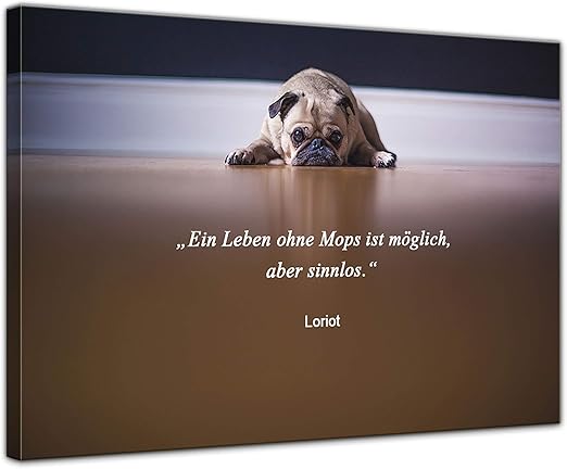 Download Loriot sprueche For iPhone