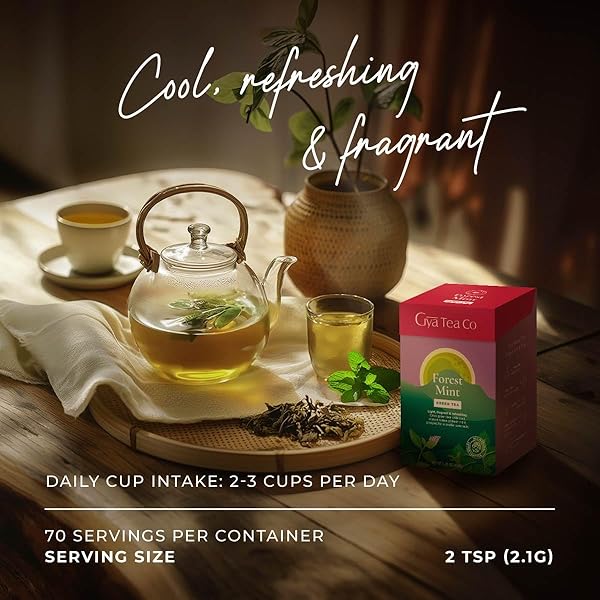 GYA TEA CO FOREST MINT GREEN TEA LOOSE LEAF – MINT GREEN TEA CAFFEINATED – 100% NATURAL MINT LOOSE LEAF TEA WITH NO ARTIFICIAL INGREDIENTS – BREW AS HOT OR ICED TEA (5.29 OZ)