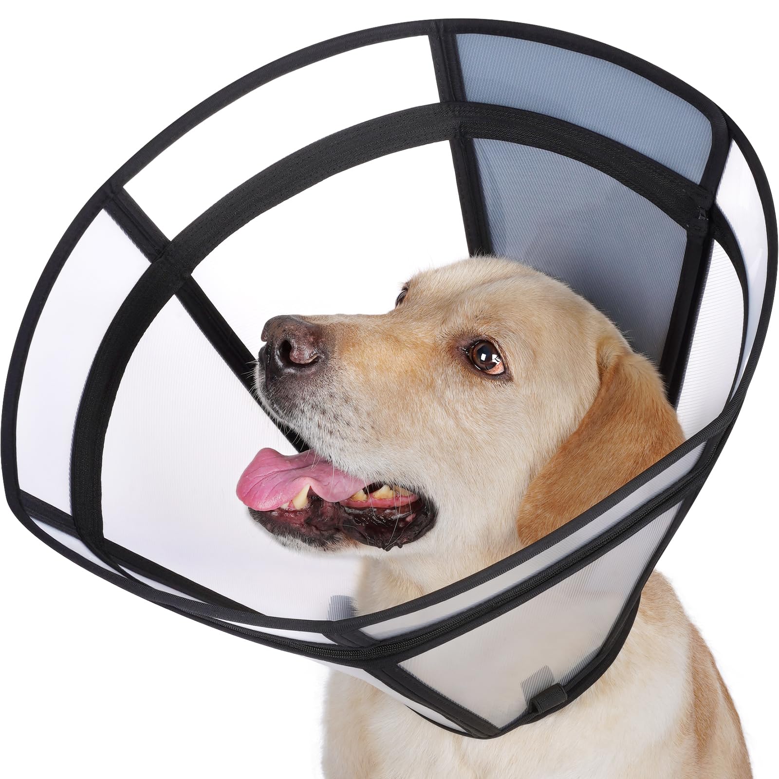 Photo 1 of Didopet Transparent Soft Cone
