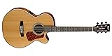 Cort Luce Series L100F A/E Guitar, Solid Spruce