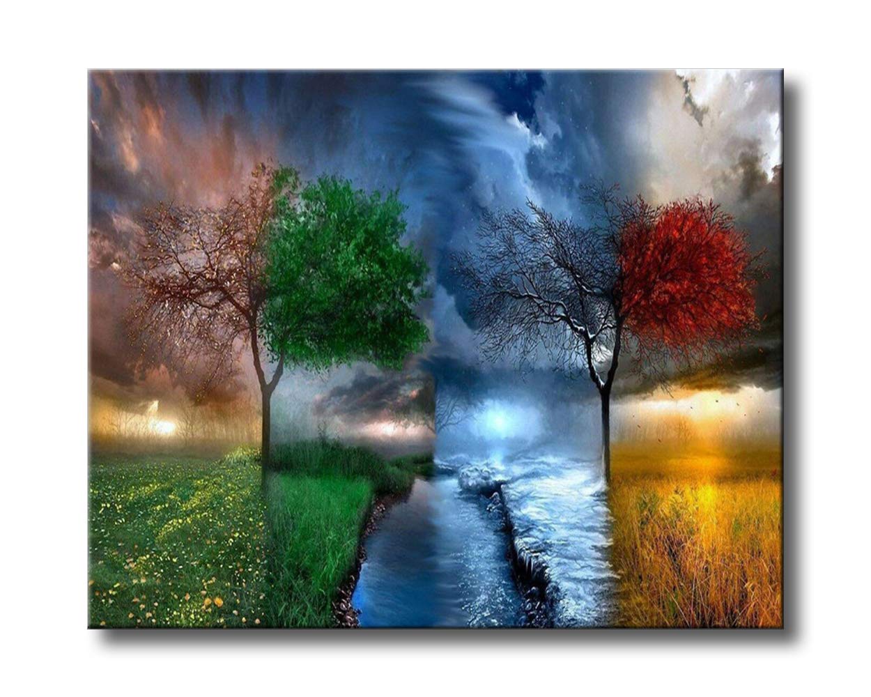 Shukqueen Paint by Number, DIY Oil Painting for Adults, Beginner's, 16X20 Inch, Frameless