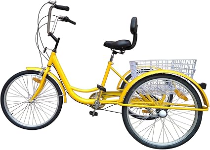 3 wheel bike with gears