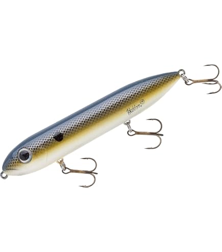 Amazon.com: Heddon Super Spook Topwater Fishing Lure for Saltwater