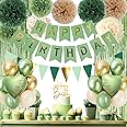 Sage Green Birthday Decorations, Birthday Party Décor, Gold Green Balloons Olive Happy Birthday Banner Fringe Curtain Background, Neutral Birthday Decorations for Women Girls Boys Adults