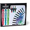 Sheaffer Viewpoint Calligraphy Maxi Kit: 3 Fountain Pens with 3 Nibs, 20 Assorted Ink Cartridges, Instructions, and Tracing Pad