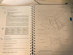 Anatomie lernen durch Malen: in Pflege- und ...