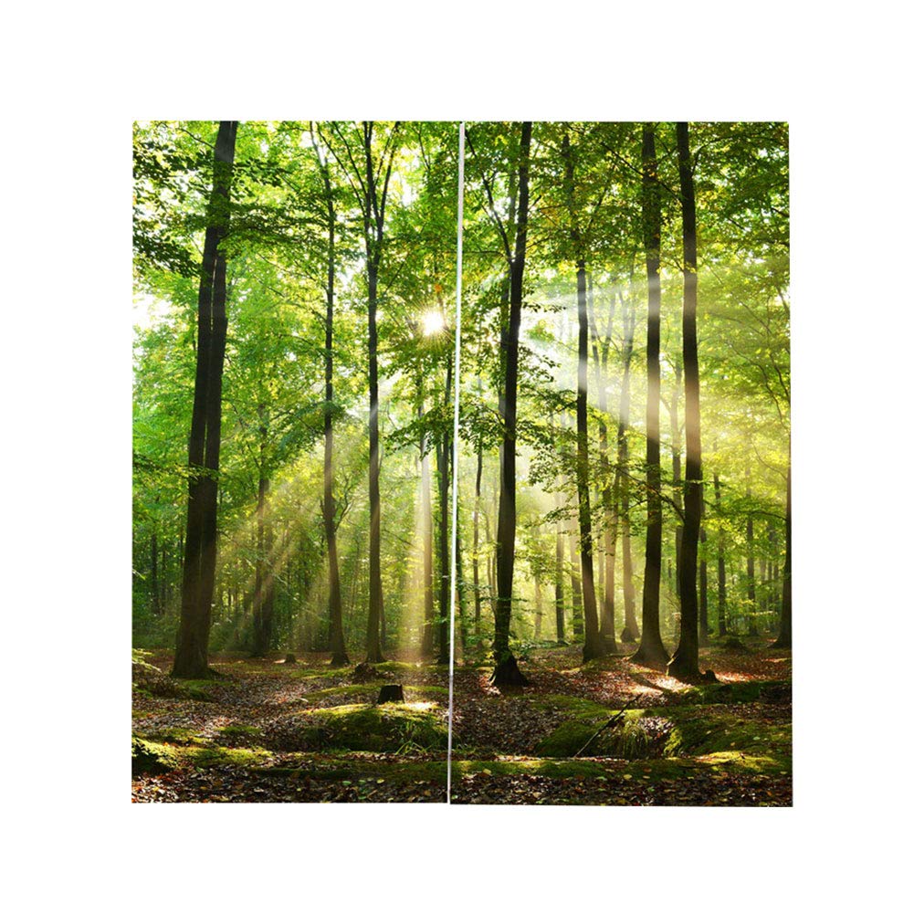 Nature Landscape Forest Sunlight Printing Window Curtain, Bedroom Curtain, Fashion Shower Curtain Rayon Polyester Bedroom for Living Room Study Kitchen(170 * 200cm)