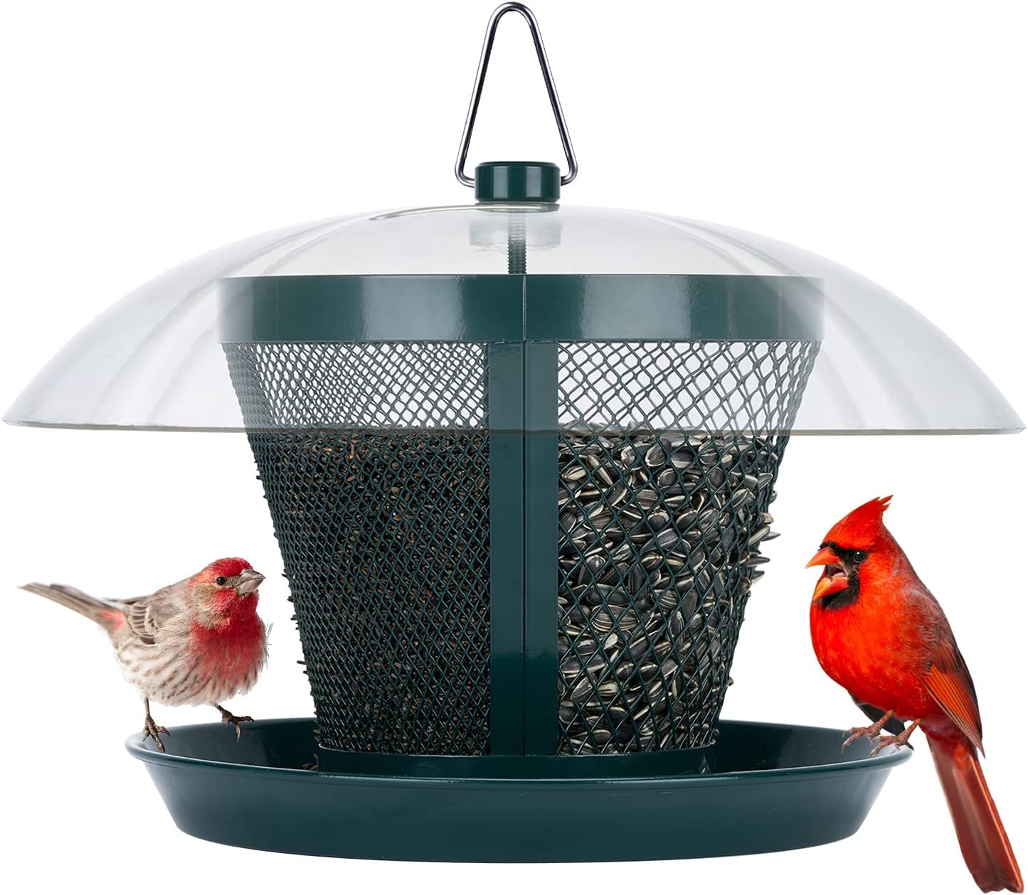 Backyard Birding & Wildlife - Kingsyard Bird Feeder for Outside Metal Mesh Wild Bird Feeder with Weatherproof Dome Dual Feeders 2.5 lbs. Seed Capacity for Finch Cardinal