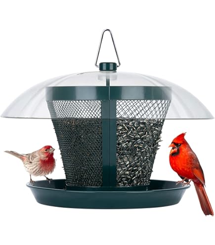   ACORN チャイルドボウル1364 5107 Mega 4 Inch Sola Ball Natural Foot Toy Foraging Bird Chew Balls