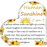 Inspirational Gifts For Women Inspirational Acrylic Plaque Encouragement Gift 2025 Stocking Stuffers For Social Workers Women Coworkers, Teachers, Mentors, Desk Decor, Office Accessories With Appreciation Gift