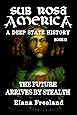 Sub Rosa America, Book II: The Future Arrives By Stealth (SUB ROSA AMERICA: A DEEP STATE HISTORY)