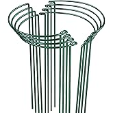 LEOBRO Plant Support, 8 PCS Peony Cages and Supports, Plant Stakes, Plant Supports for Indoor Plants, Outdoor Plants, Monstera Hydrangea Support Cage, 10" W x 24" H