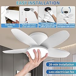 Yoobao Modern Ceiling Fans with Lights and