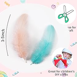 Soarer 300pcs Macaron Rooster Feathers Bulk
