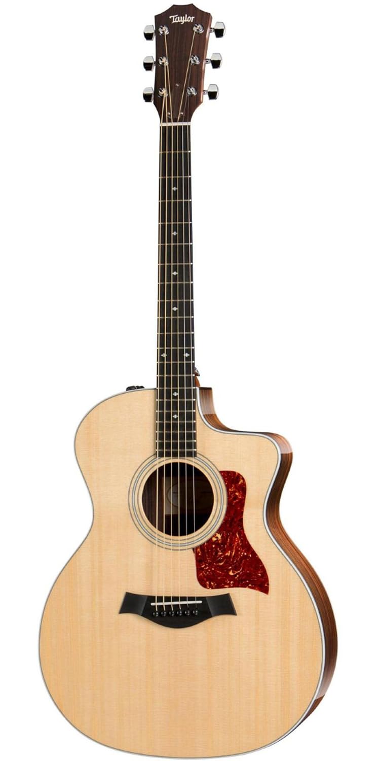 The Best Acoustic Electric Guitars For Recording and Gigs 2022
