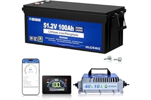 DC HOUSE 48V 100Ah Lithium Golf Cart Battery w/Switch, Lifepo4 Battery with 48V 18A Lithium Batteries Charger, Smart 200A BMS, LCD Monitor & Mobile APP, Peak Current 700A (ABS Case)