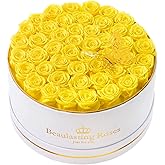 Beaulasting Roses 47 Preserved Roses Forever Flowers Real Roses in a Box Mother's Day Birthday Flowers for Her Mom Women Wife Valentine's Day, Yellow Roses