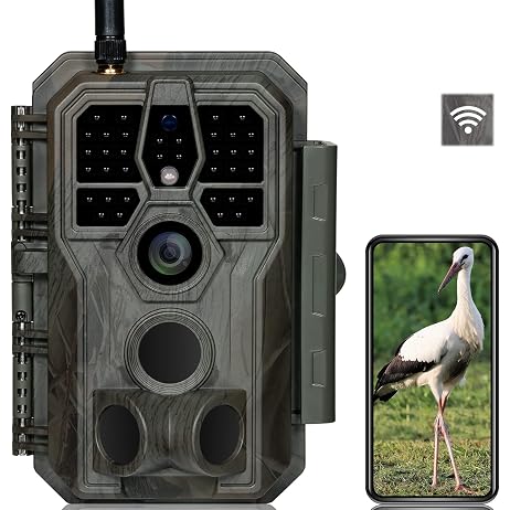 Do Trail Cameras Require Wi-Fi? Unveiling the Truth