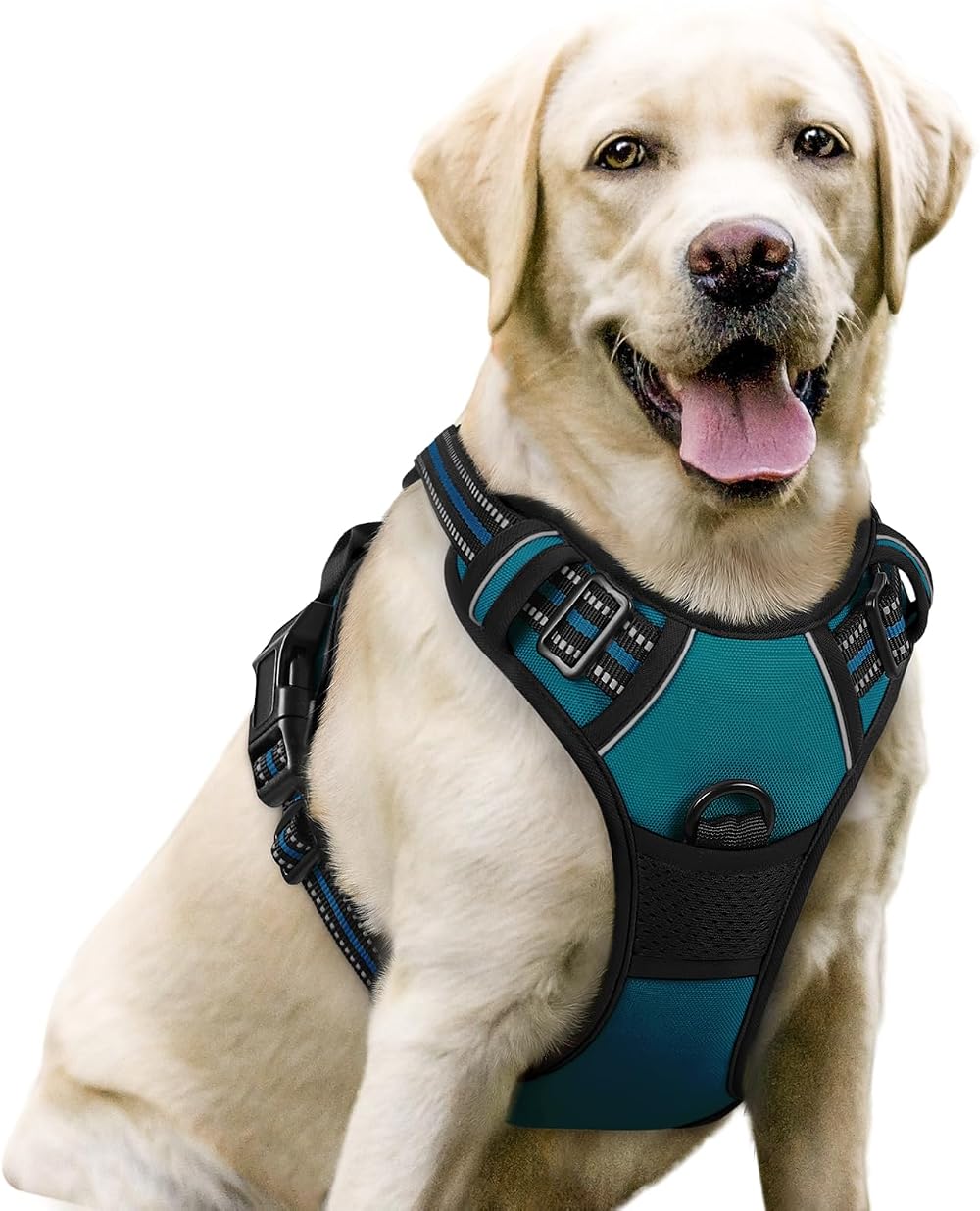 rabbitgoo Large Dog Harness No Pull Adjustable Reflective Padded Vest Dark Green