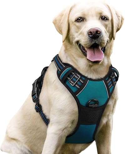 rabbitgoo Large Dog Harness No Pull Adjustable Reflective Padded Vest Dark Green