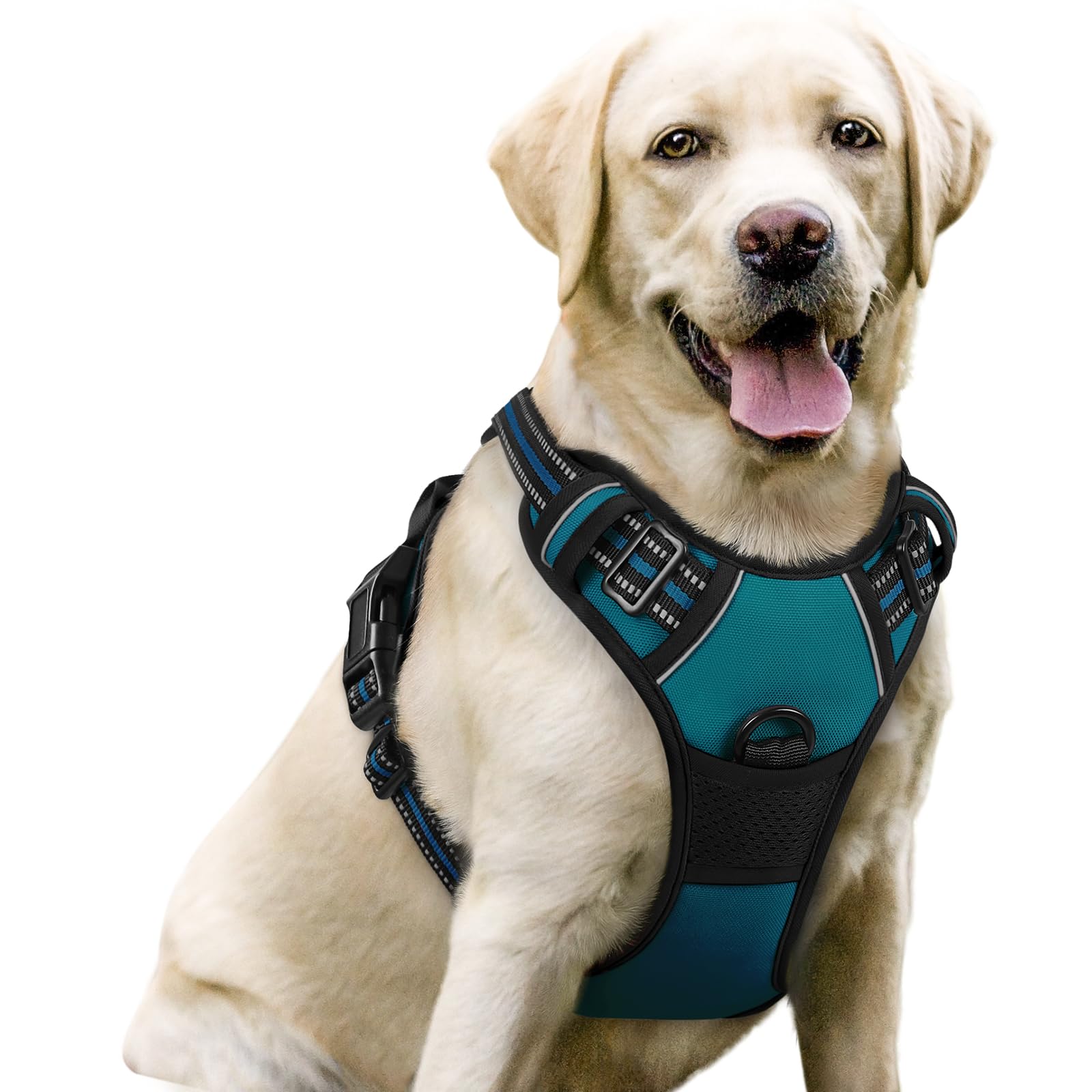 Photo 1 of rabbitgoo Dog Harness No Pull with 2 Leash Clips, Adjustable Soft Padded, Reflective Oxford No Choke Pet Vest with Easy Control Handle for Large Dogs, Blue Coral, L