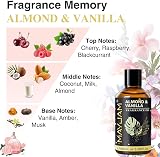 MAYJAM Fragrance Oil 100ML Almond Vanilla Aromatherapy Diffuser Oil view 4