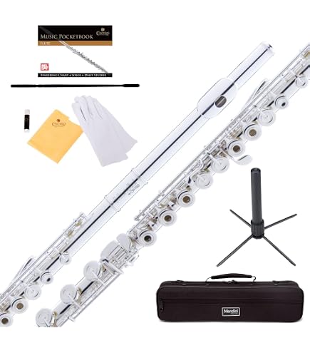 Amazon.com: Hisonic Signature Series 2810N Closed 16-hole Flute