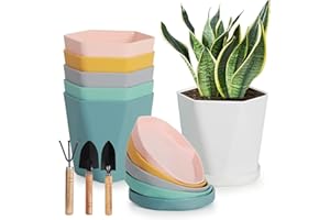 ISIVBPEP Plant Pots - 5 Inch Planters for Indoor Plants - 6 Pack Flower Pots - Colorful Plastic Plant Pot - Plant Pots with Drainage Holes - Pots for Plants - Plant Pots Indoor - Indoor Planter