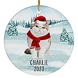 Santa Hat and Scarf Welcome Winter White Calico