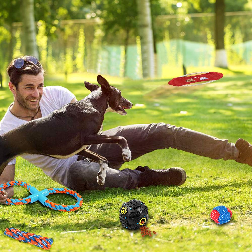 Dog Chew Toys for Puppies, AIRGOOD Durable Rope Toys, Pet Squeaky Food Spill Ball and Training Frisbee Toy Set (10 Pack )