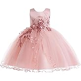 Weileenice Flower Girls Lace Bridesmaid Dress Kids Princess Wedding Prom Pageant Birthday Party Tutu Tulle Dresses